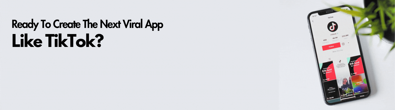 Ready To Create The Next Viral App Like TikTok?