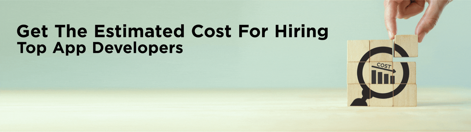 hire app developer